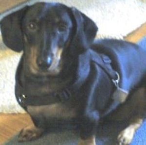 Meet your Posher, Jana